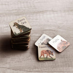 Memory animales