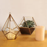 Terrario o fanal table